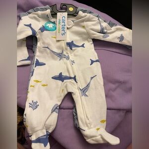 Carter premise sleeper